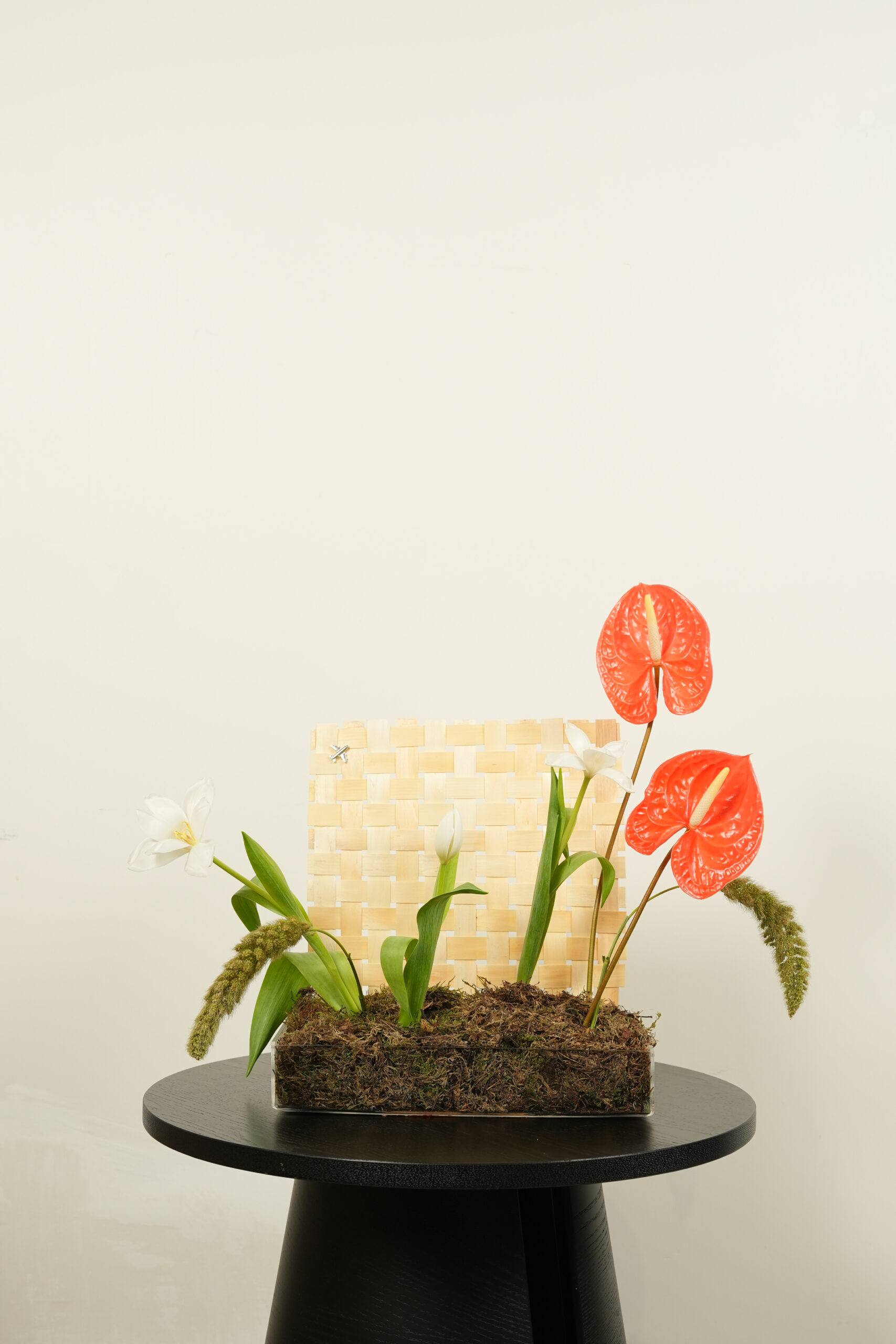 welcome back welcome back