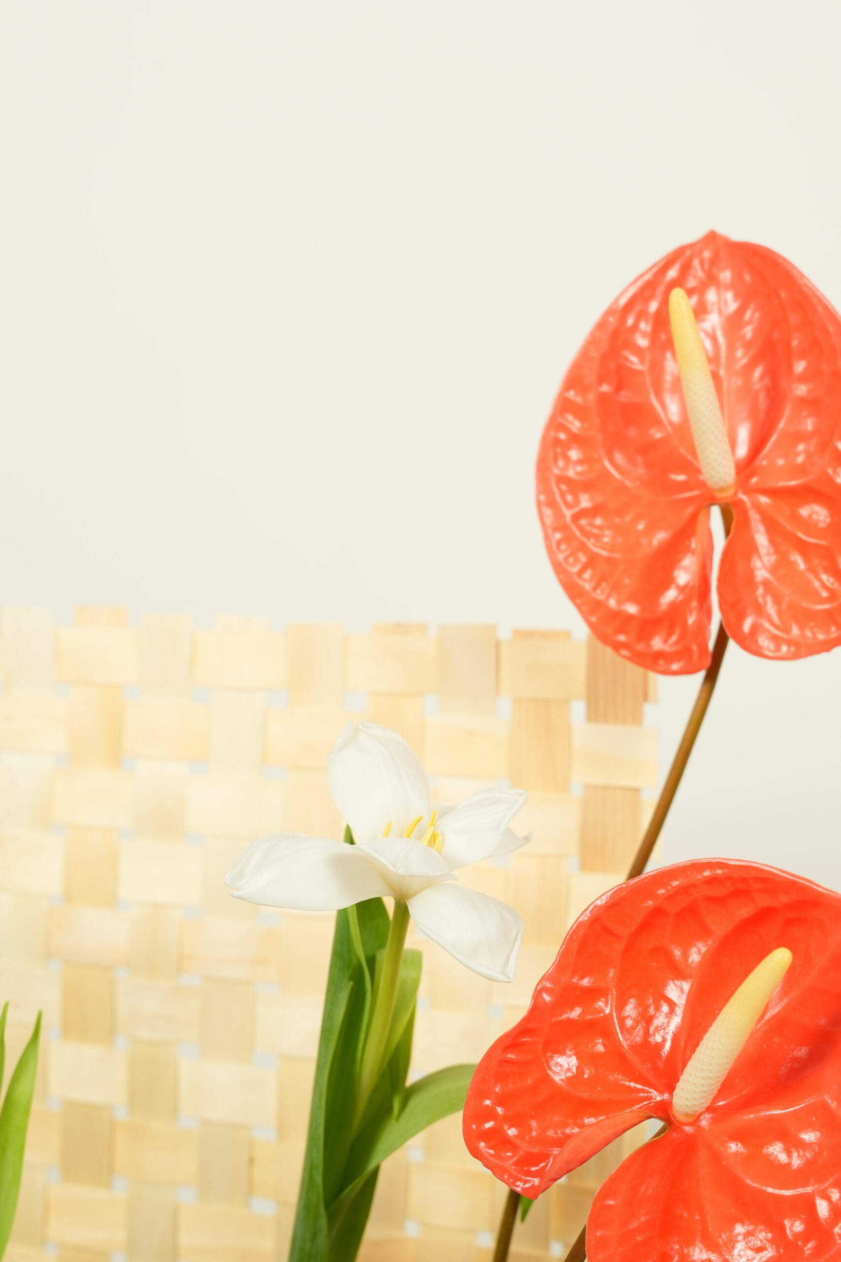 welcome back welcome back