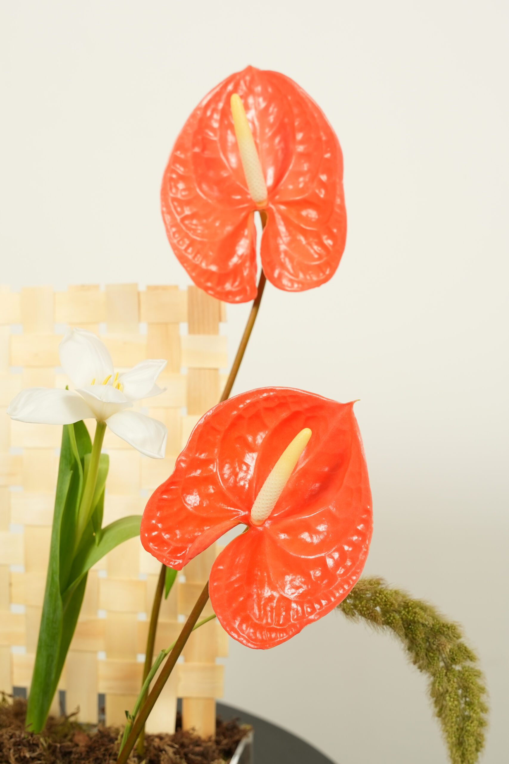 welcome back welcome back