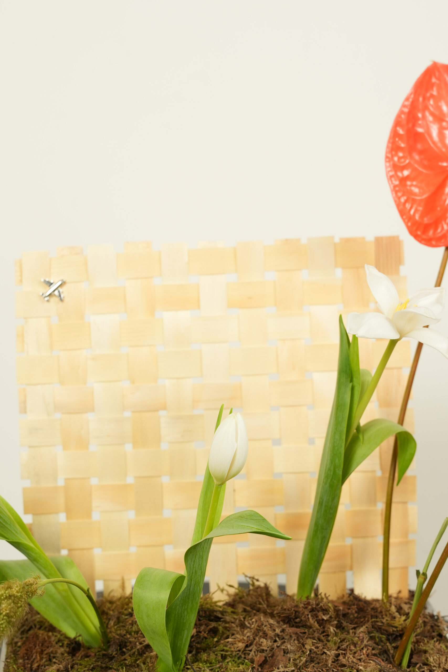 welcome back welcome back