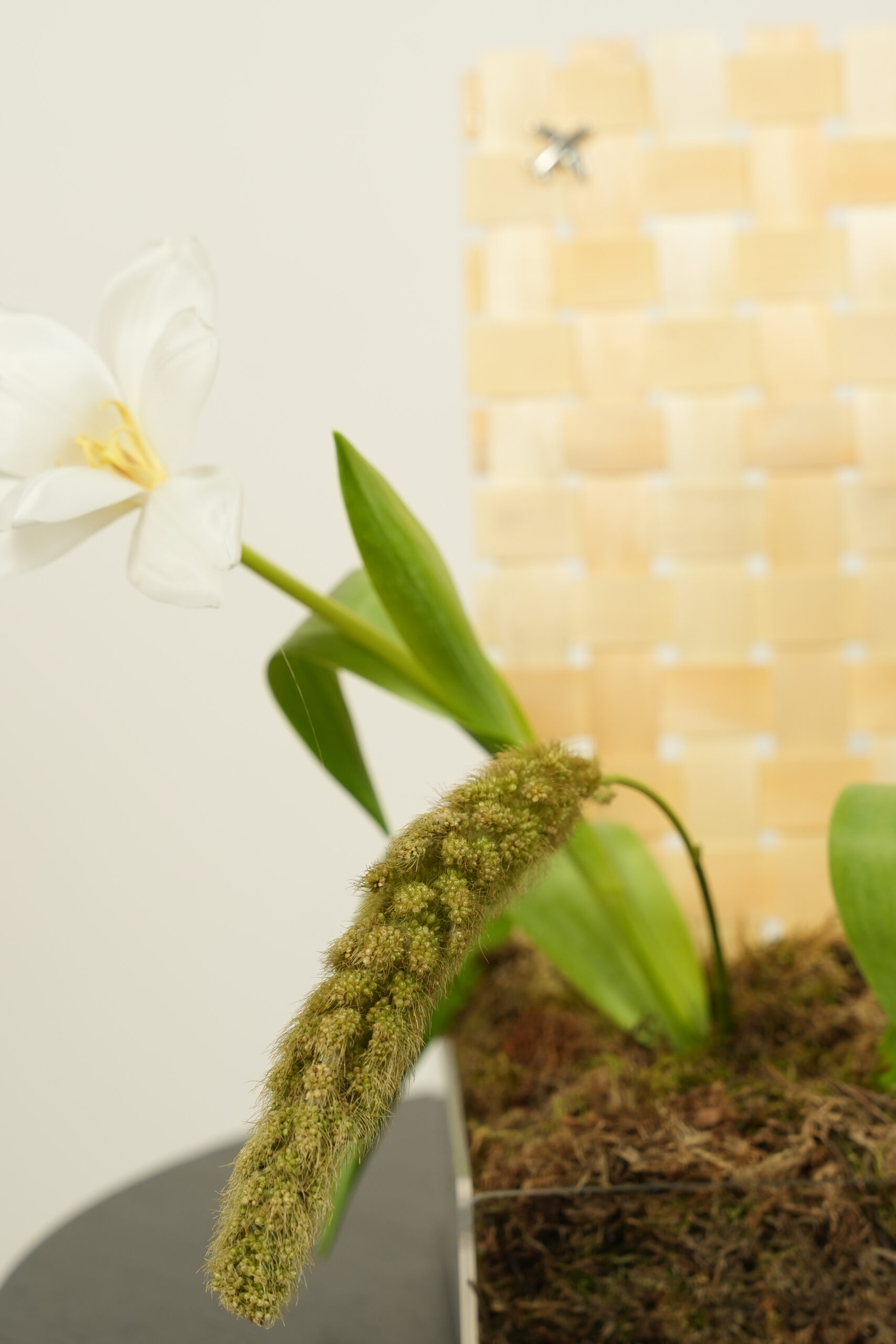 welcome back welcome back