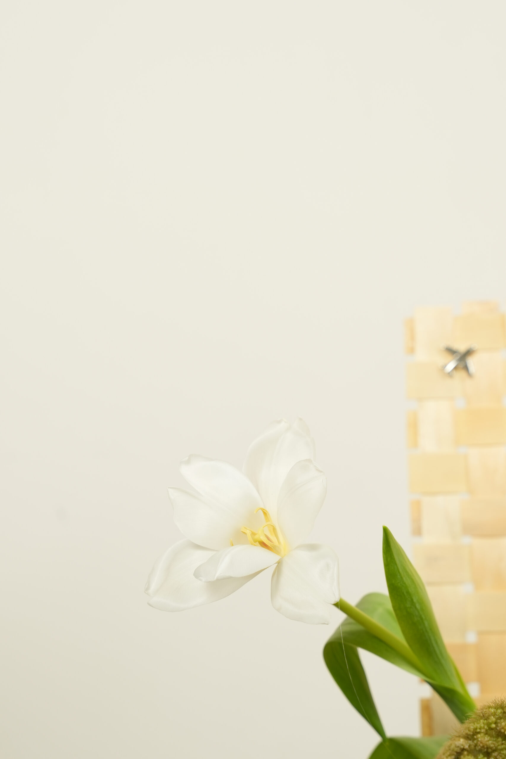 welcome back welcome back