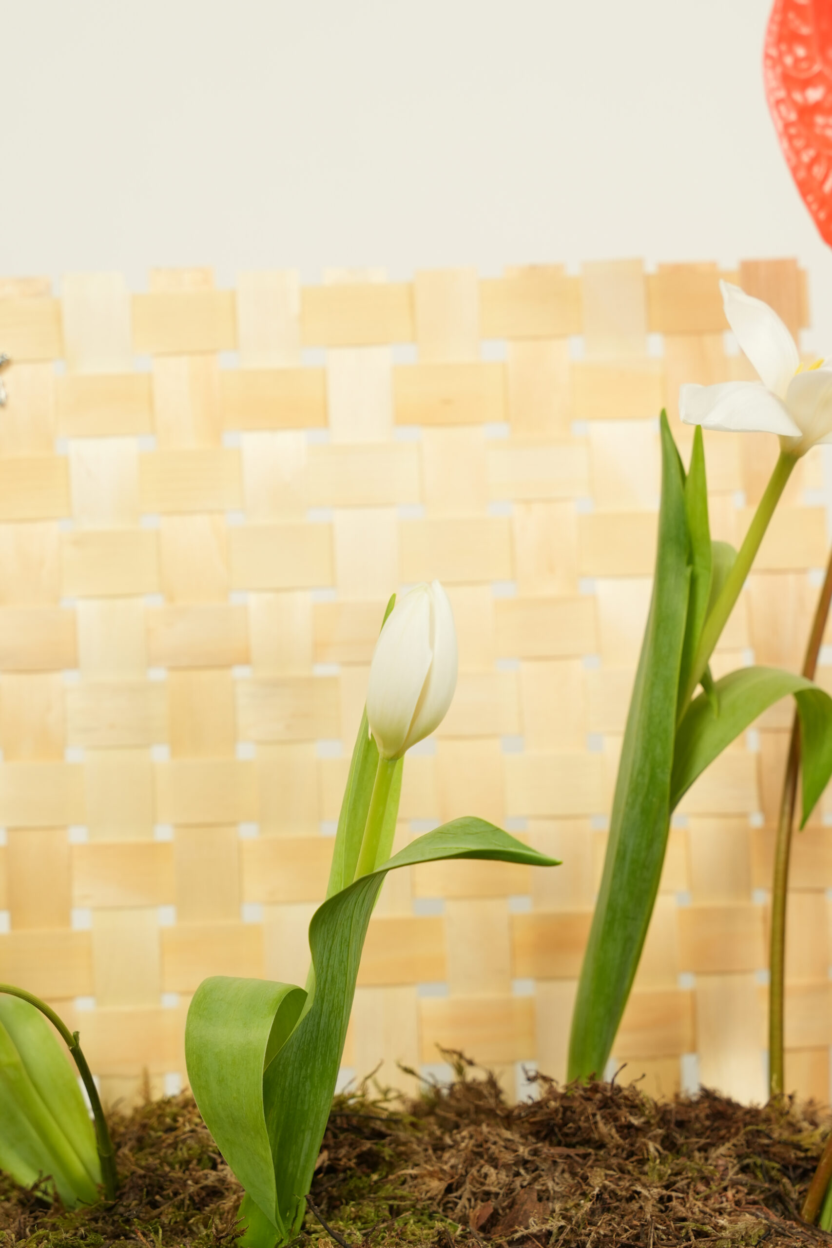 welcome back welcome back